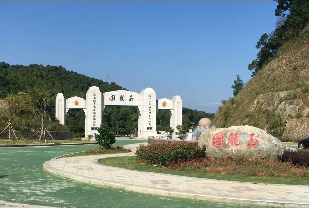 抖圈-为du而生官网入口