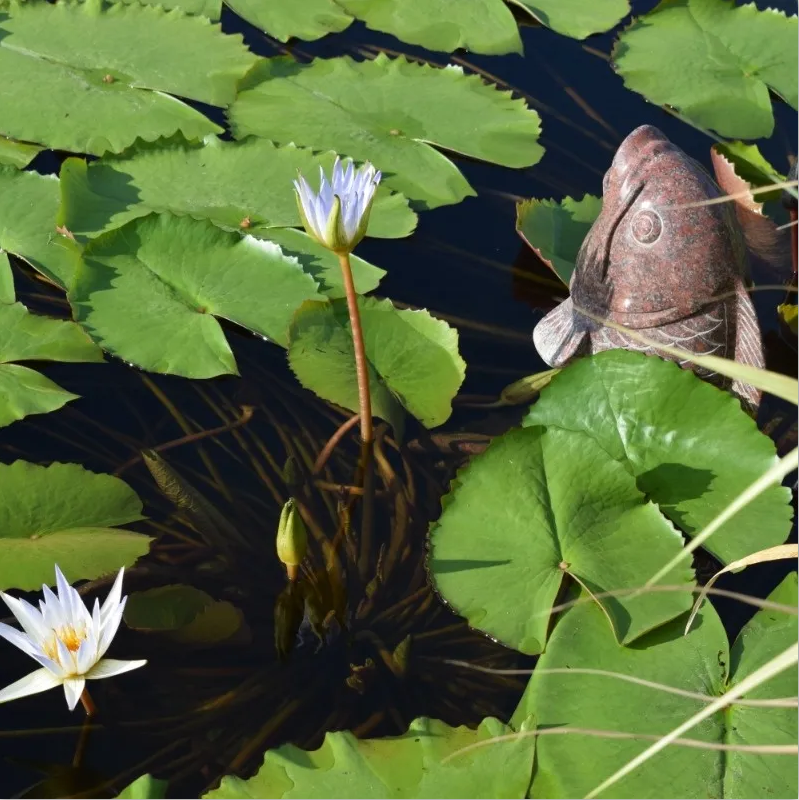 抖圈-为du而生官网入口