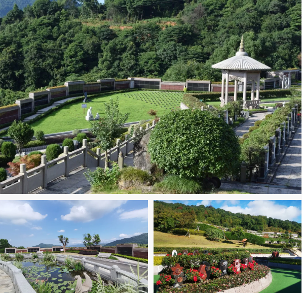 抖圈-为du而生官网入口