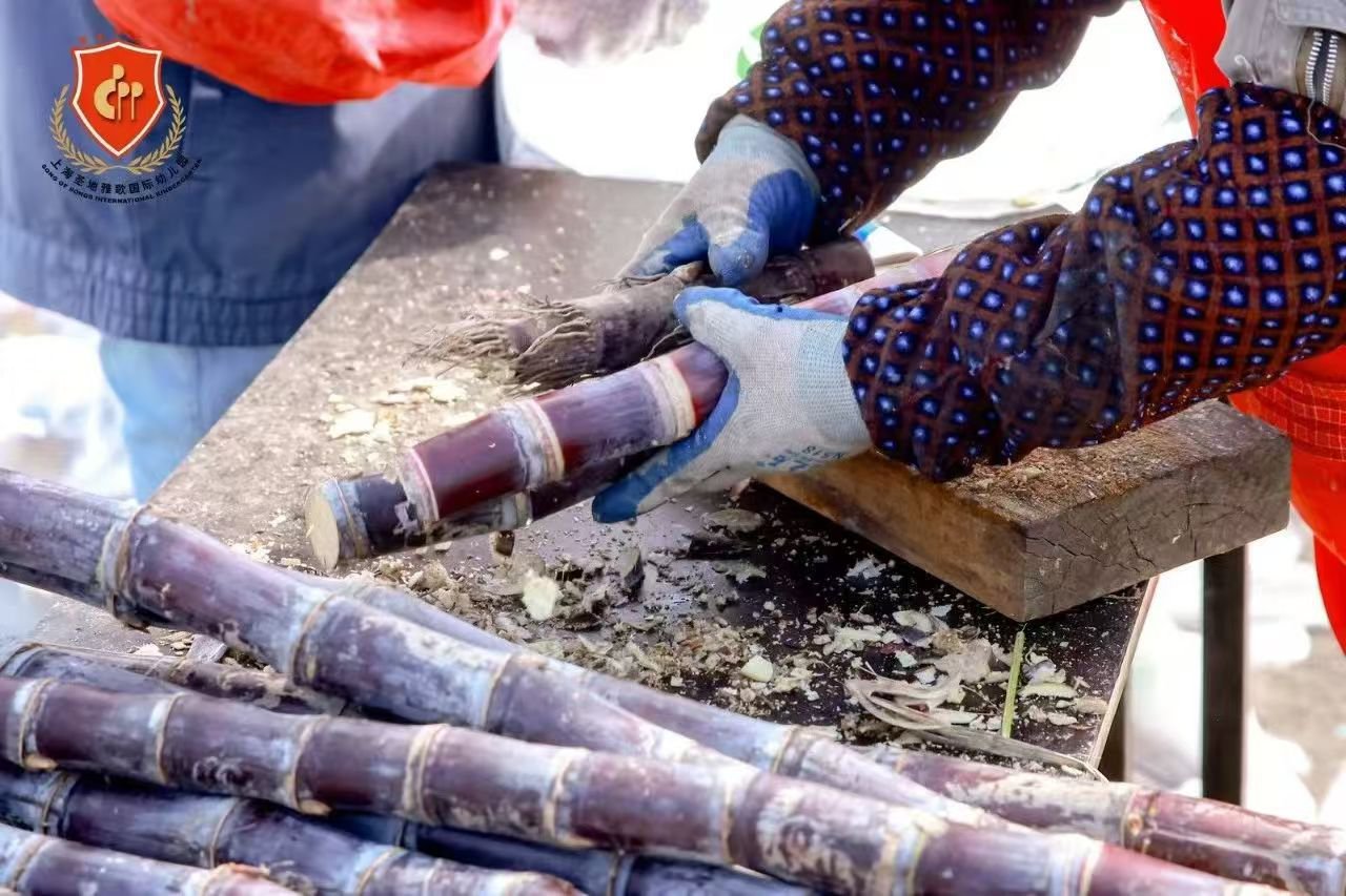抖圈-为du而生官网入口