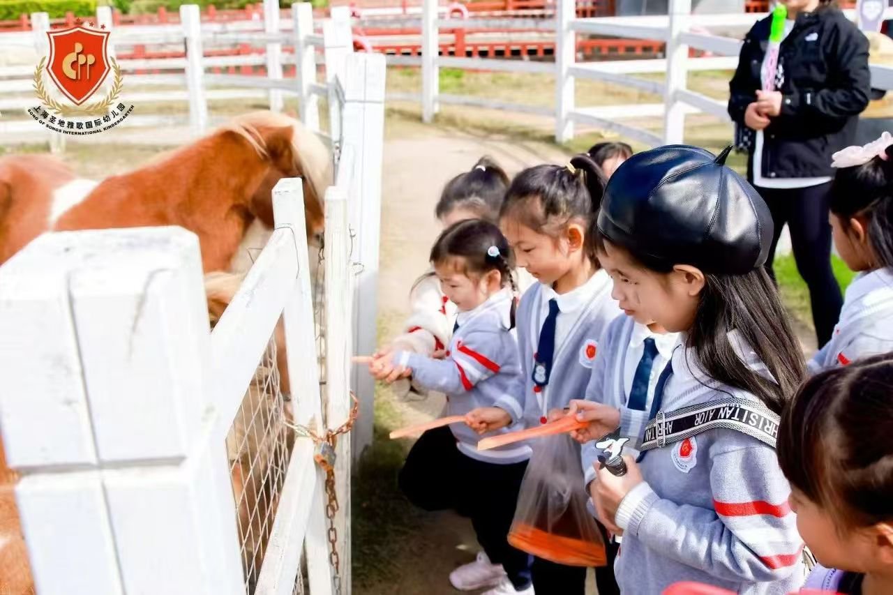 抖圈-为du而生官网入口