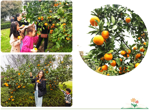 抖圈-为du而生官网入口