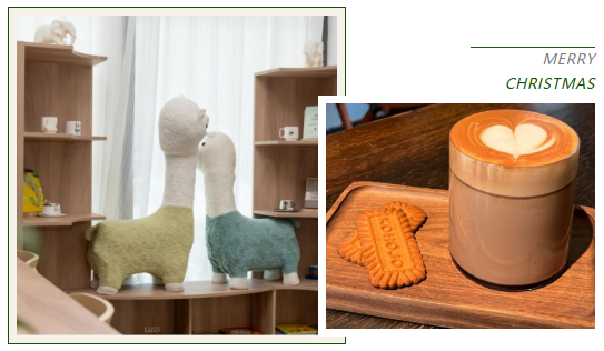 抖圈-为du而生官网入口