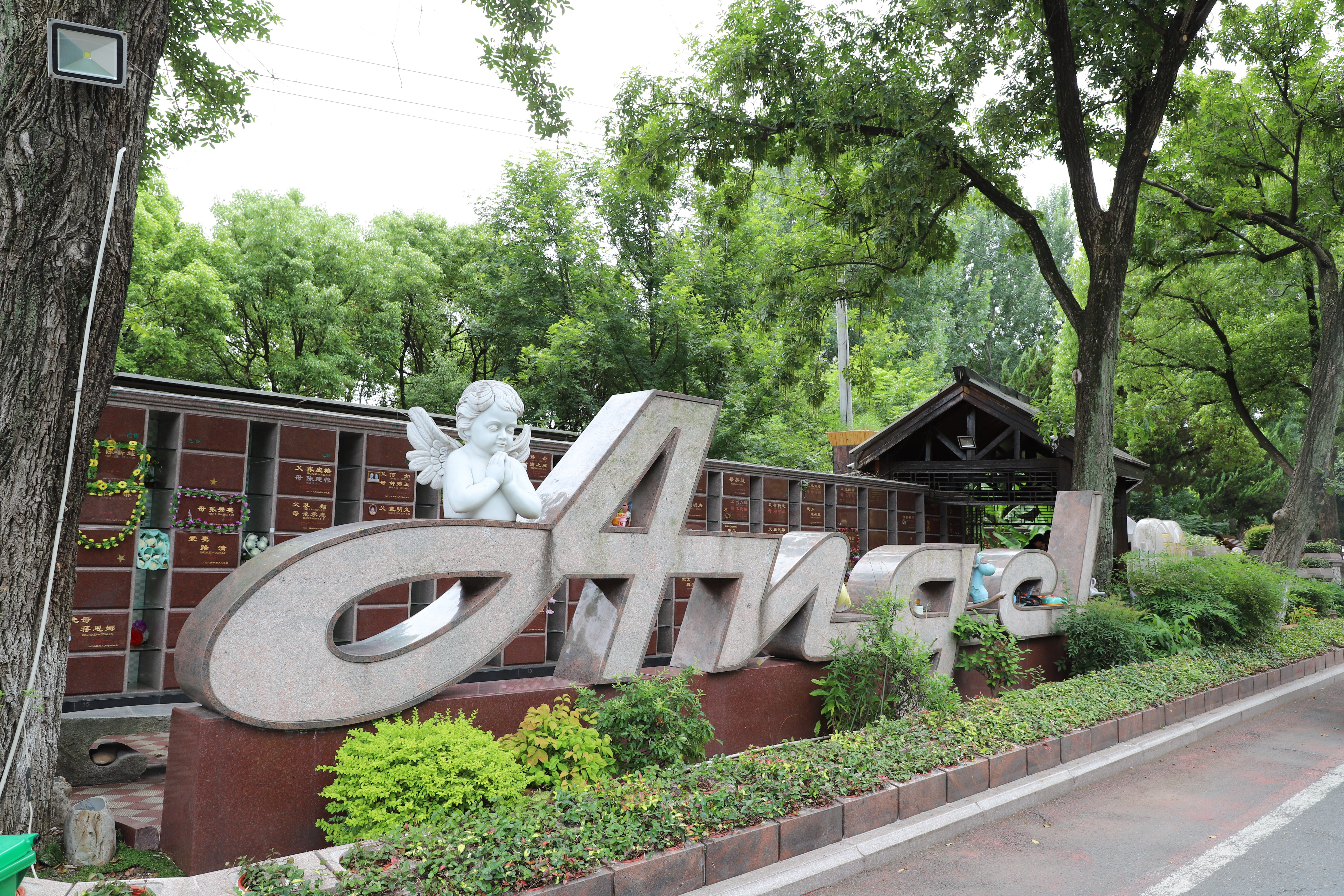 抖圈-为du而生官网入口