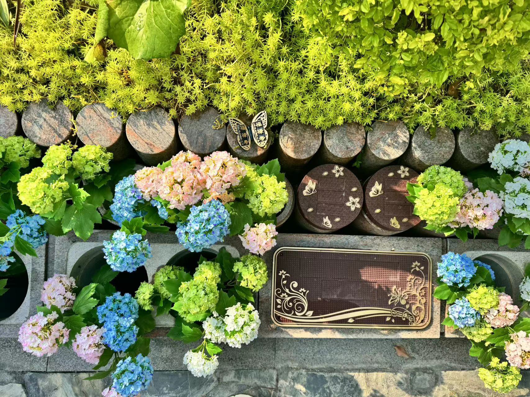 抖圈-为du而生官网入口