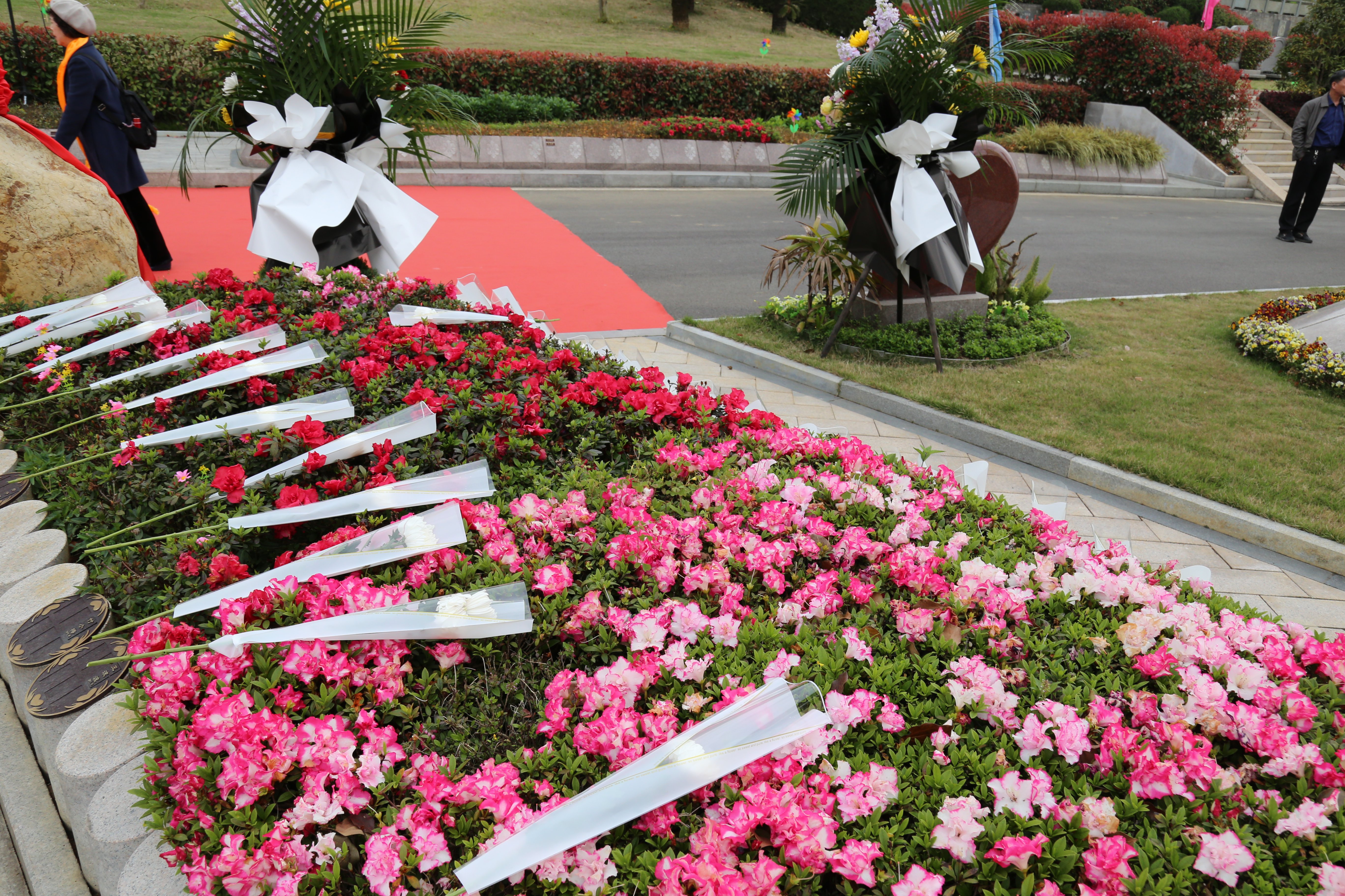 抖圈-为du而生官网入口