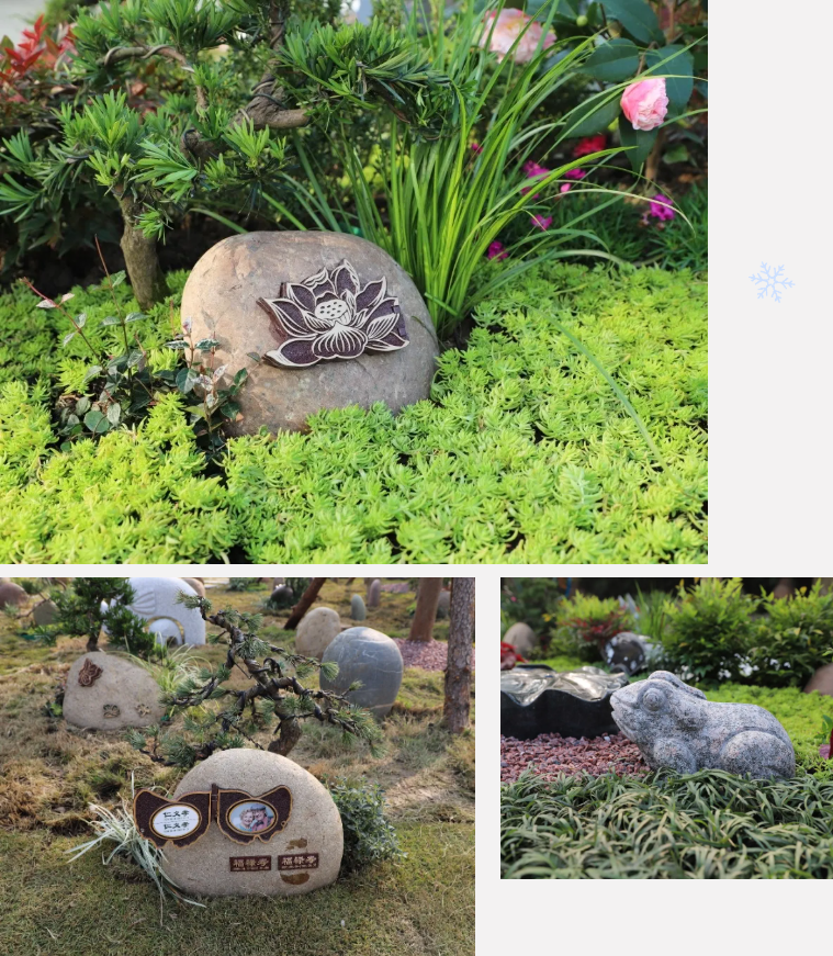 抖圈-为du而生官网入口