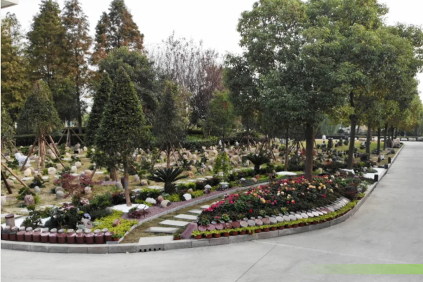 抖圈-为du而生官网入口