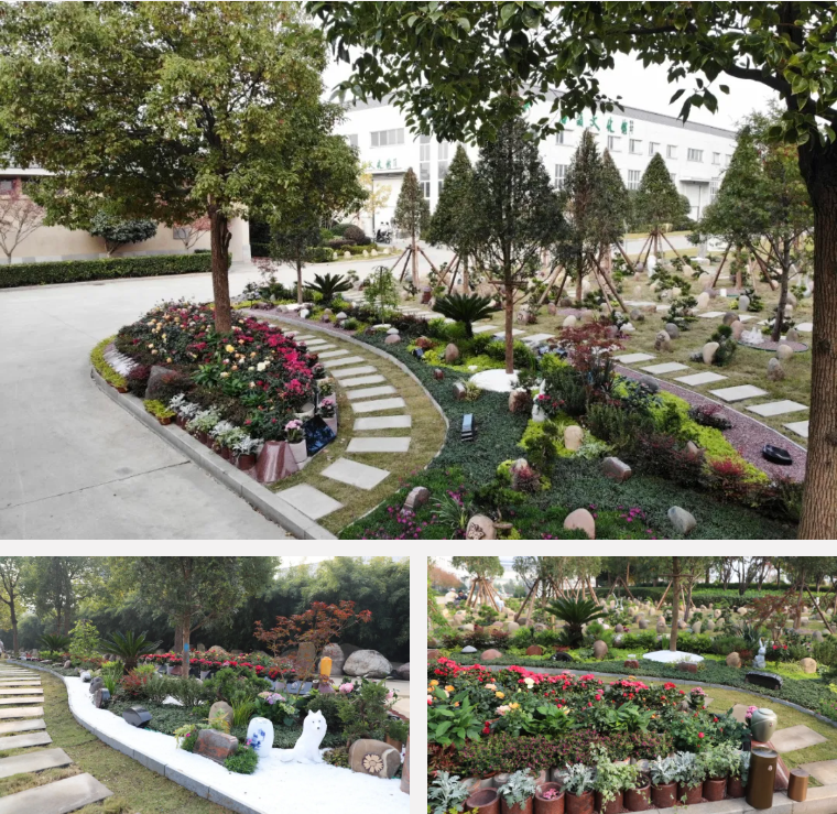 抖圈-为du而生官网入口