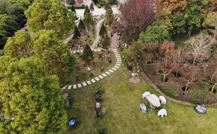 抖圈-为du而生官网入口