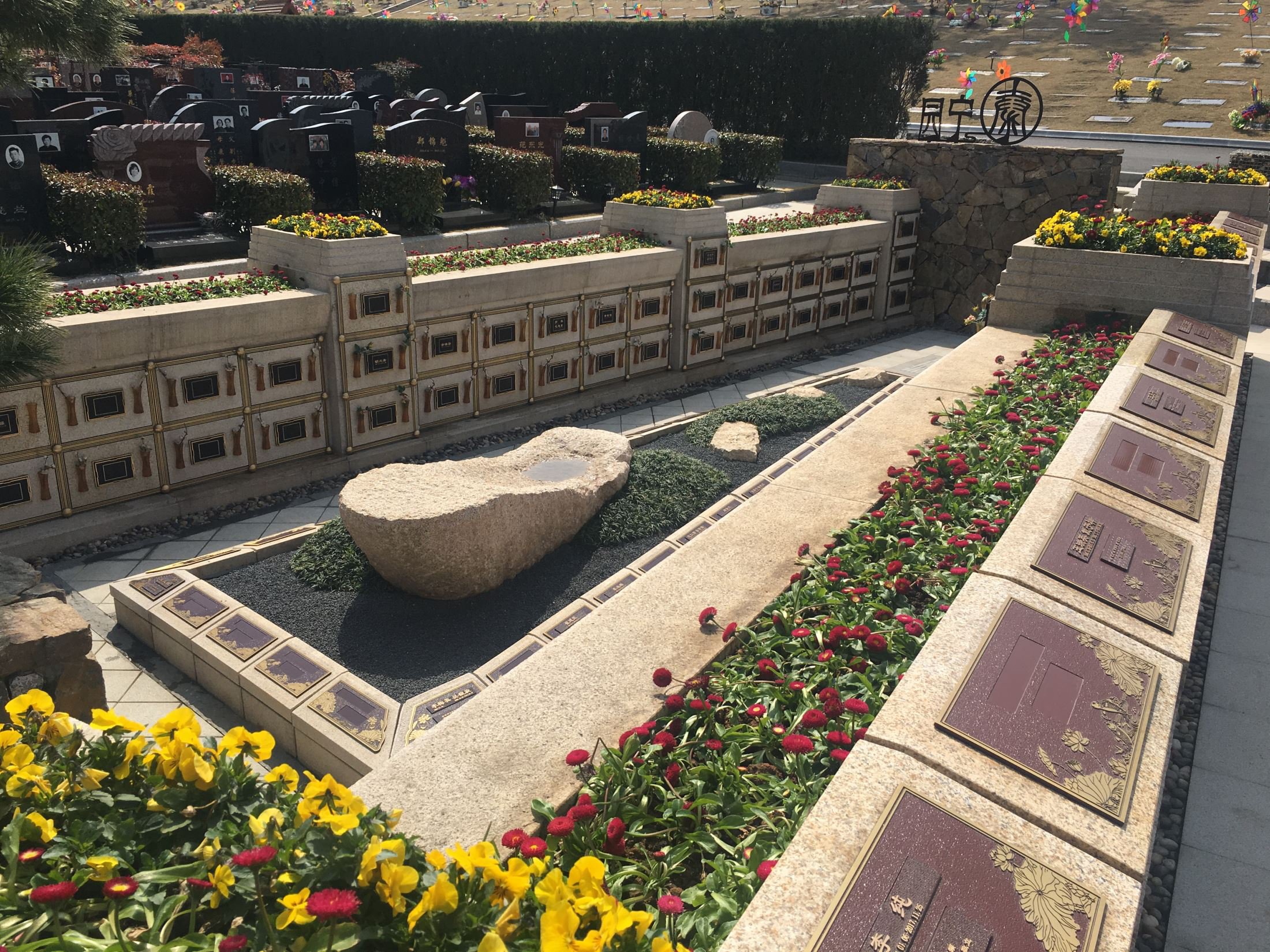 抖圈-为du而生官网入口