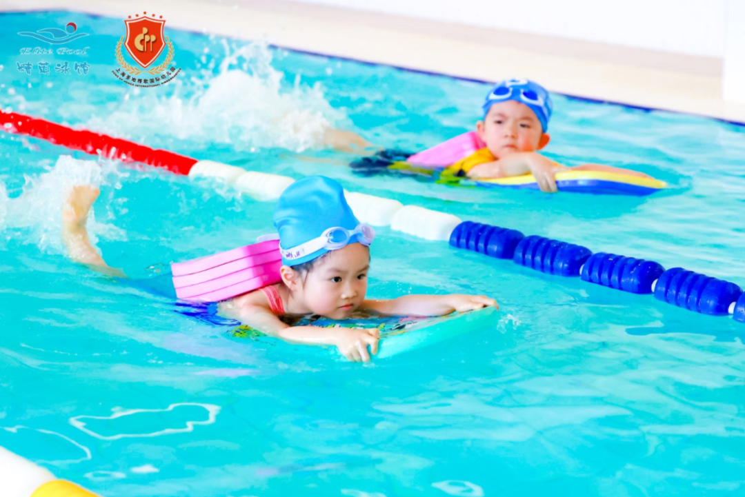 抖圈-为du而生官网入口