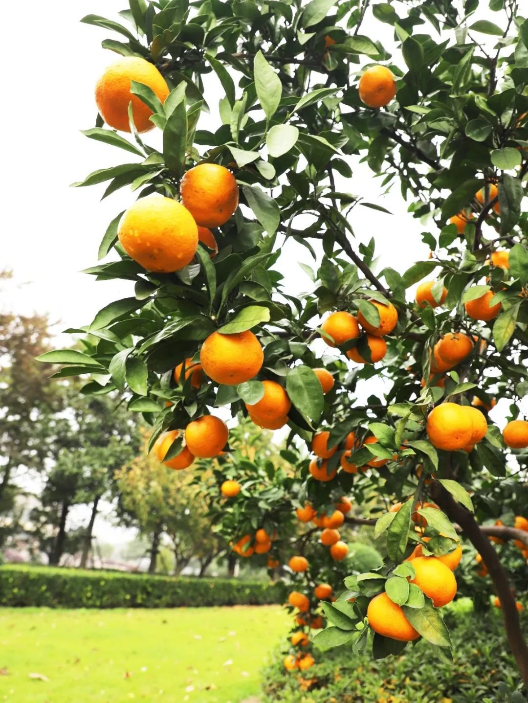 抖圈-为du而生官网入口