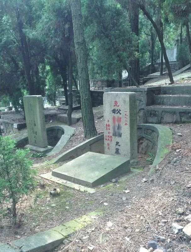 抖圈-为du而生官网入口