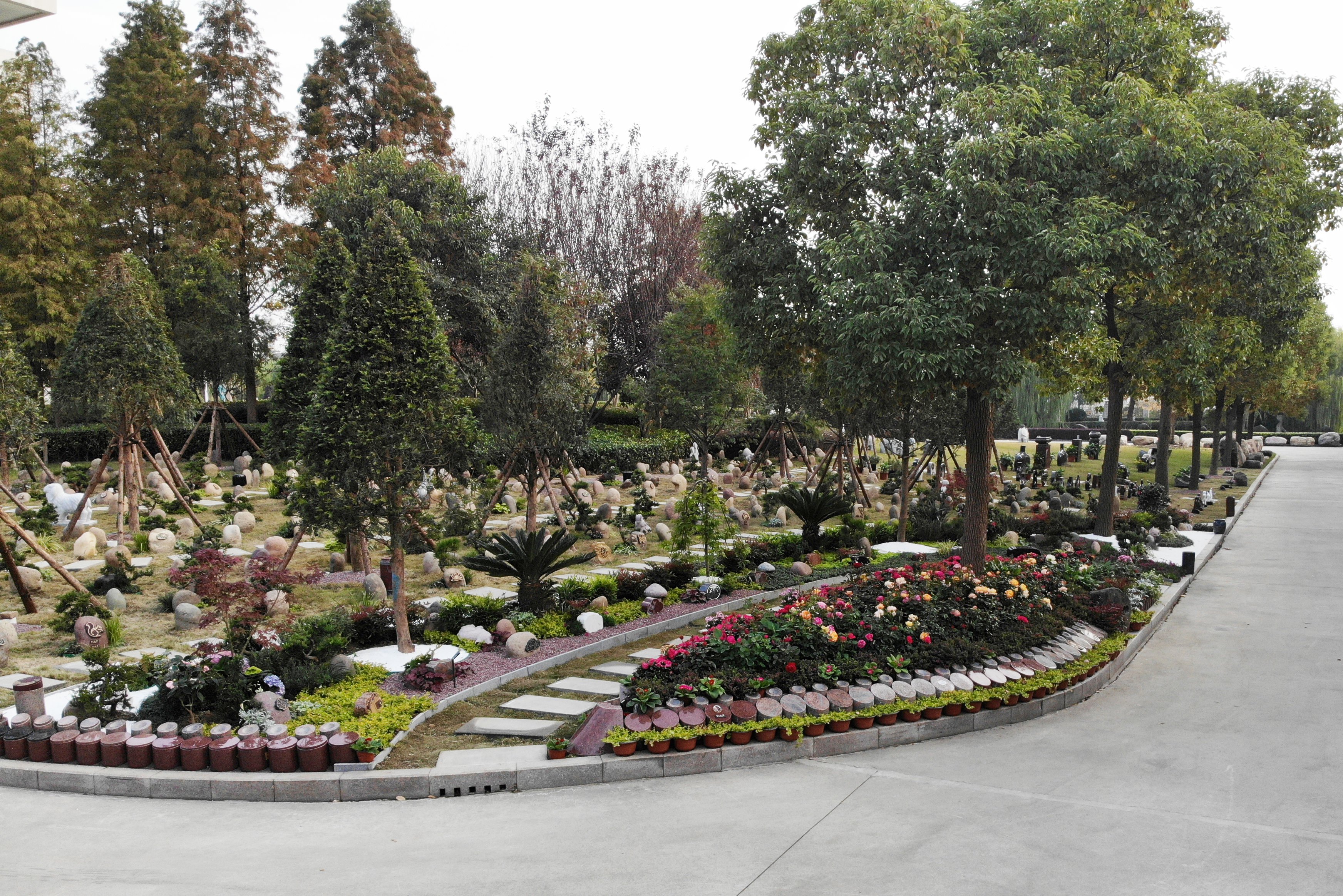 抖圈-为du而生官网入口