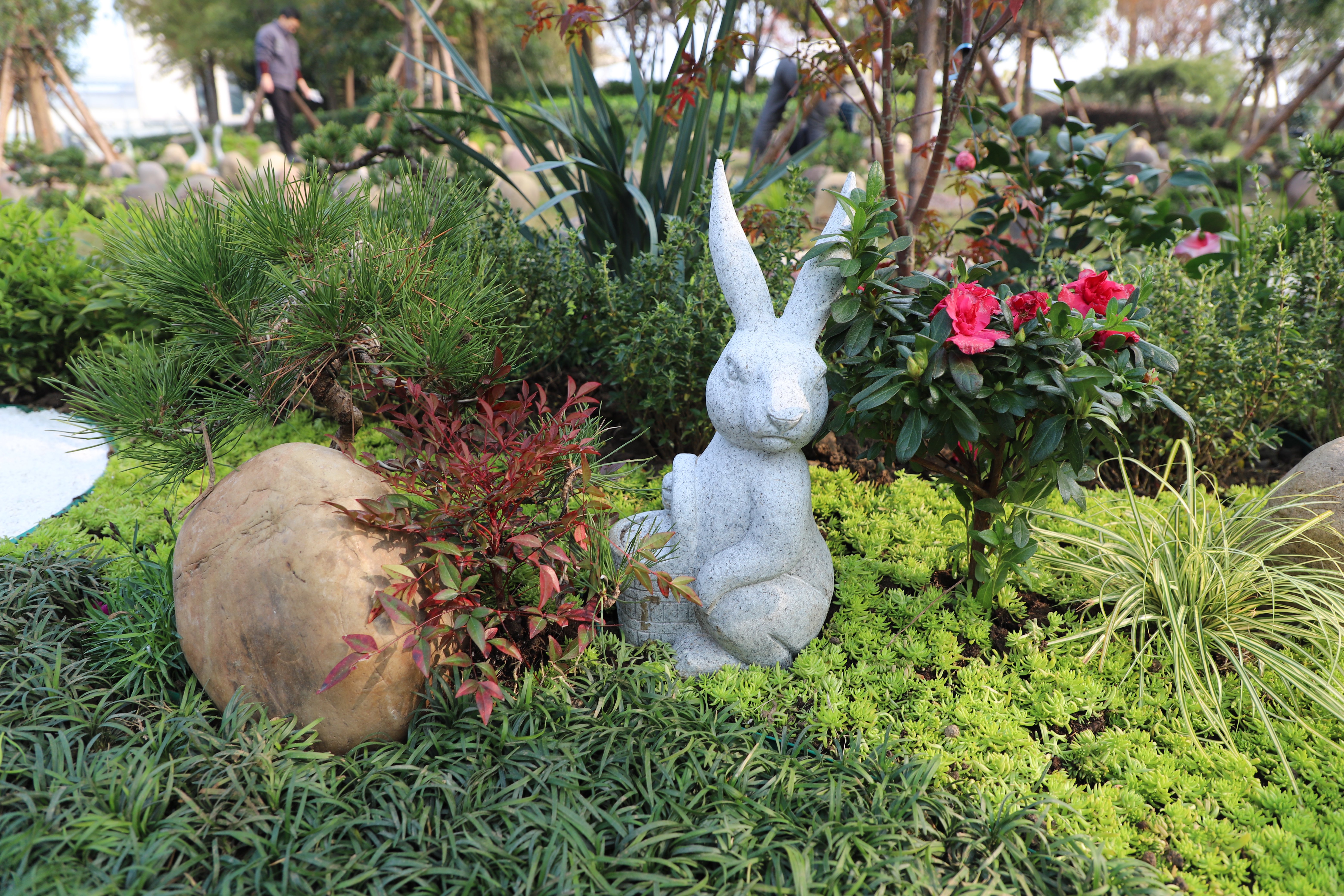 抖圈-为du而生官网入口