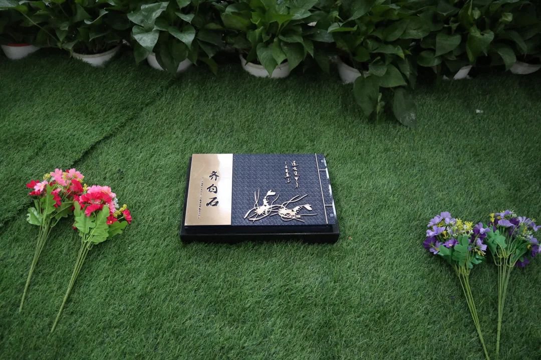 抖圈-为du而生官网入口