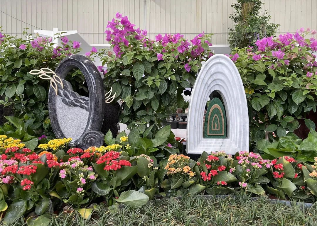 抖圈-为du而生官网入口