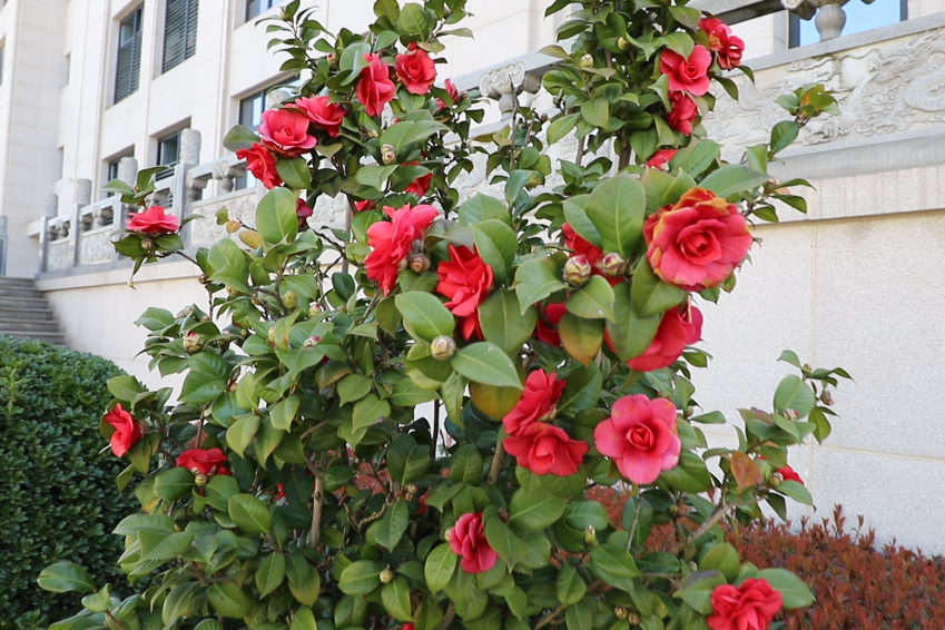 抖圈-为du而生官网入口