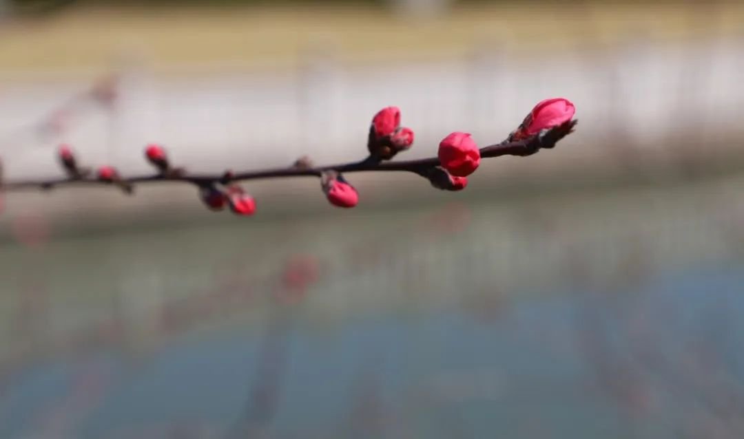 抖圈-为du而生官网入口