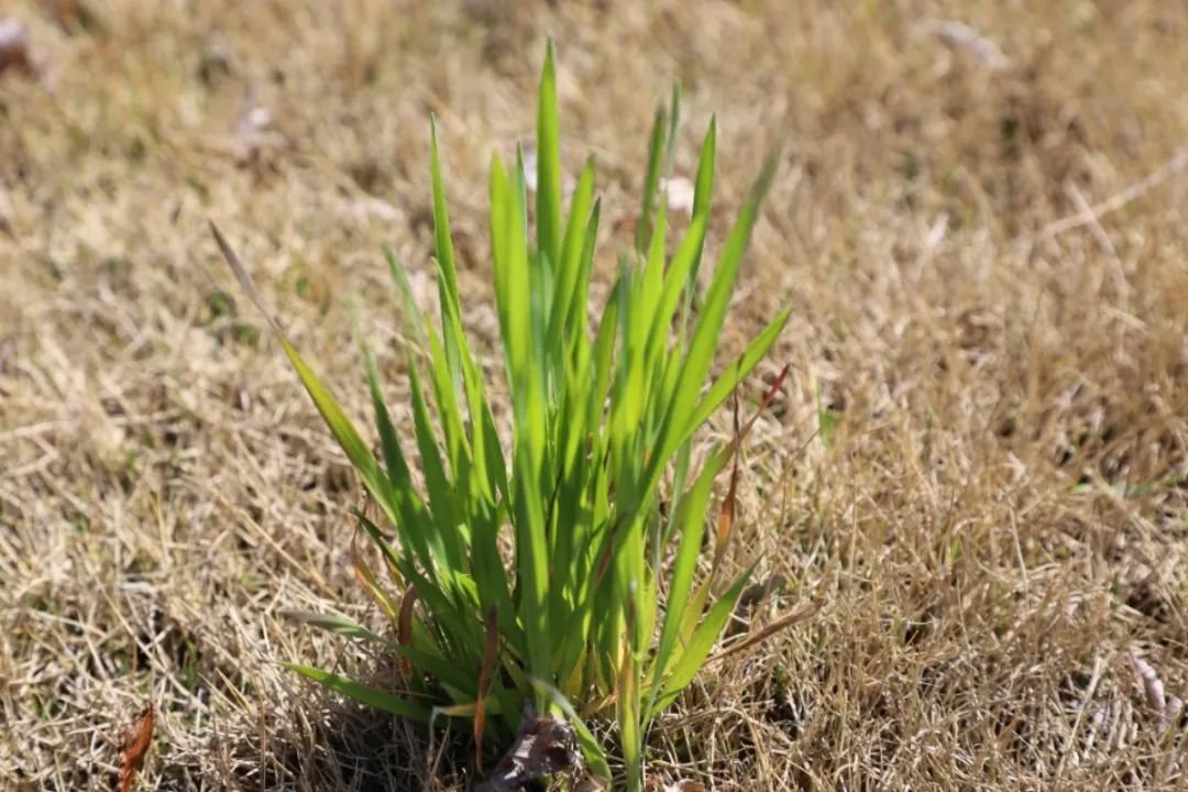 抖圈-为du而生官网入口