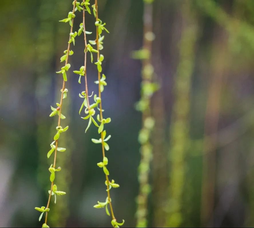 抖圈-为du而生官网入口