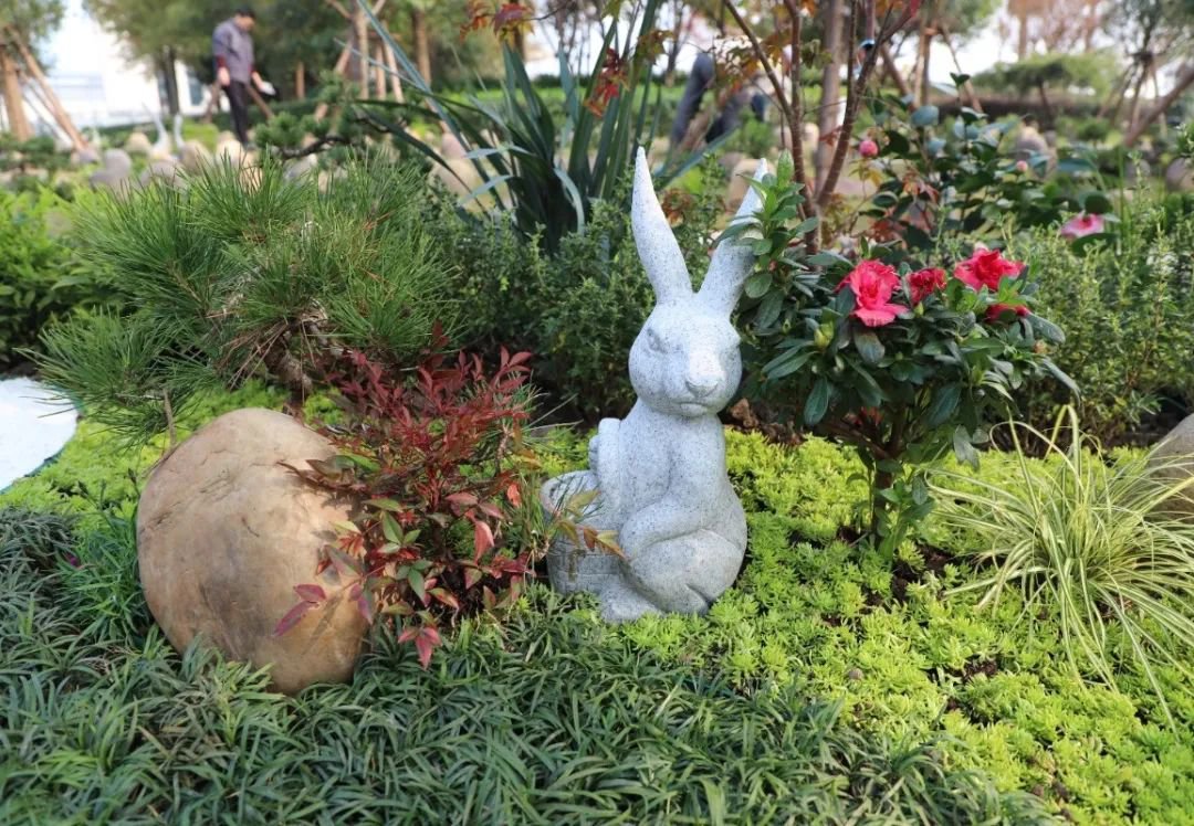 抖圈-为du而生官网入口