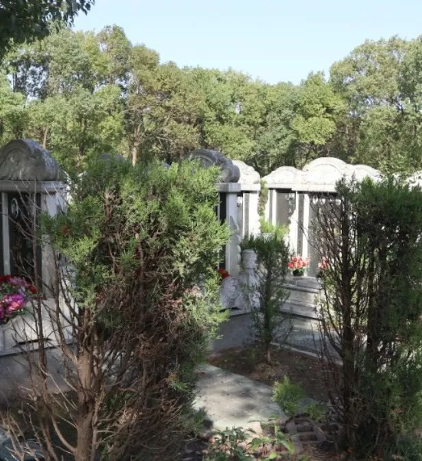 抖圈-为du而生官网入口