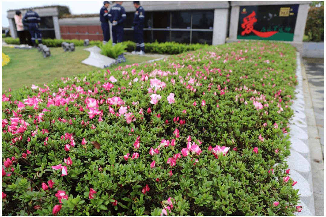 抖圈-为du而生官网入口