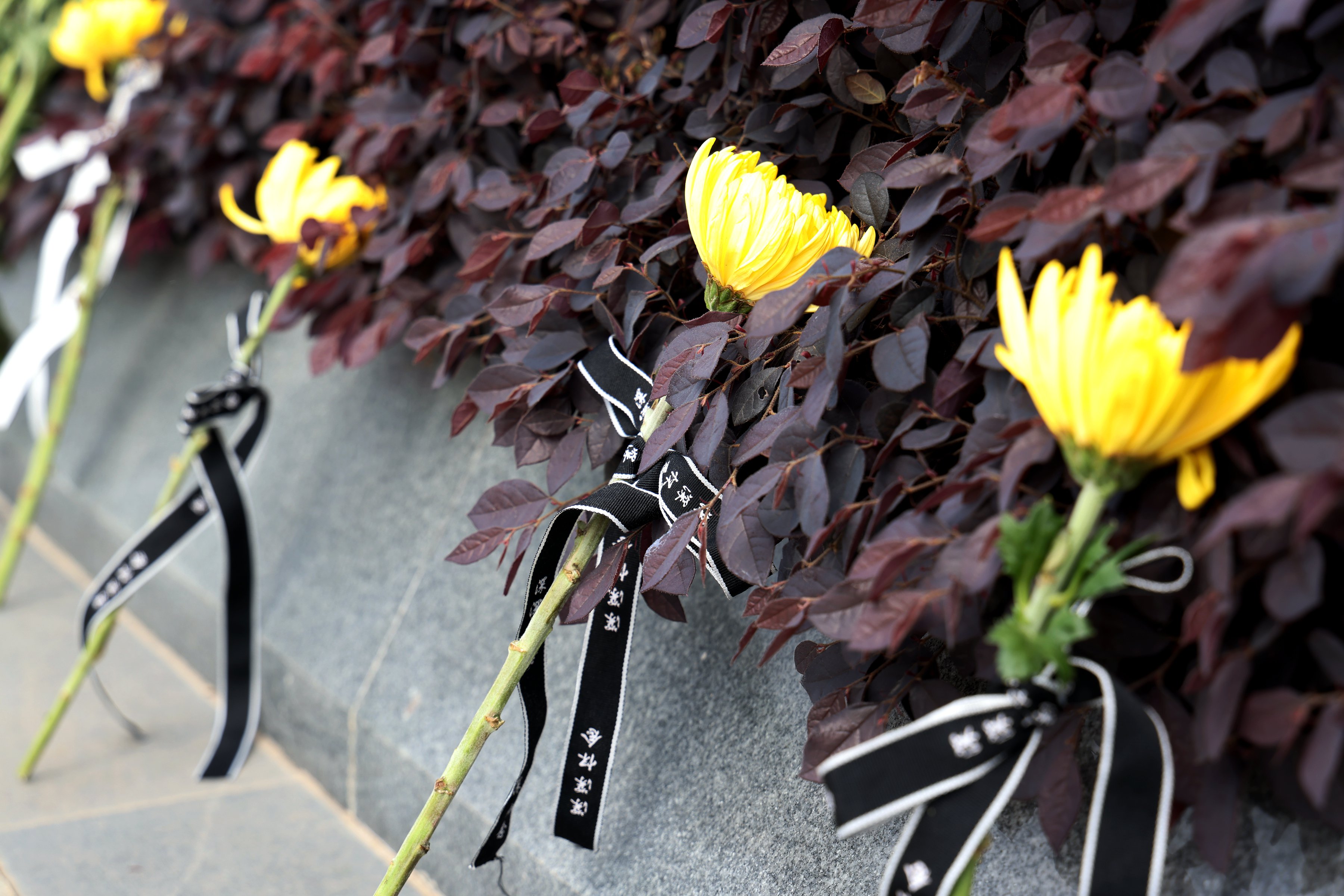 抖圈-为du而生官网入口