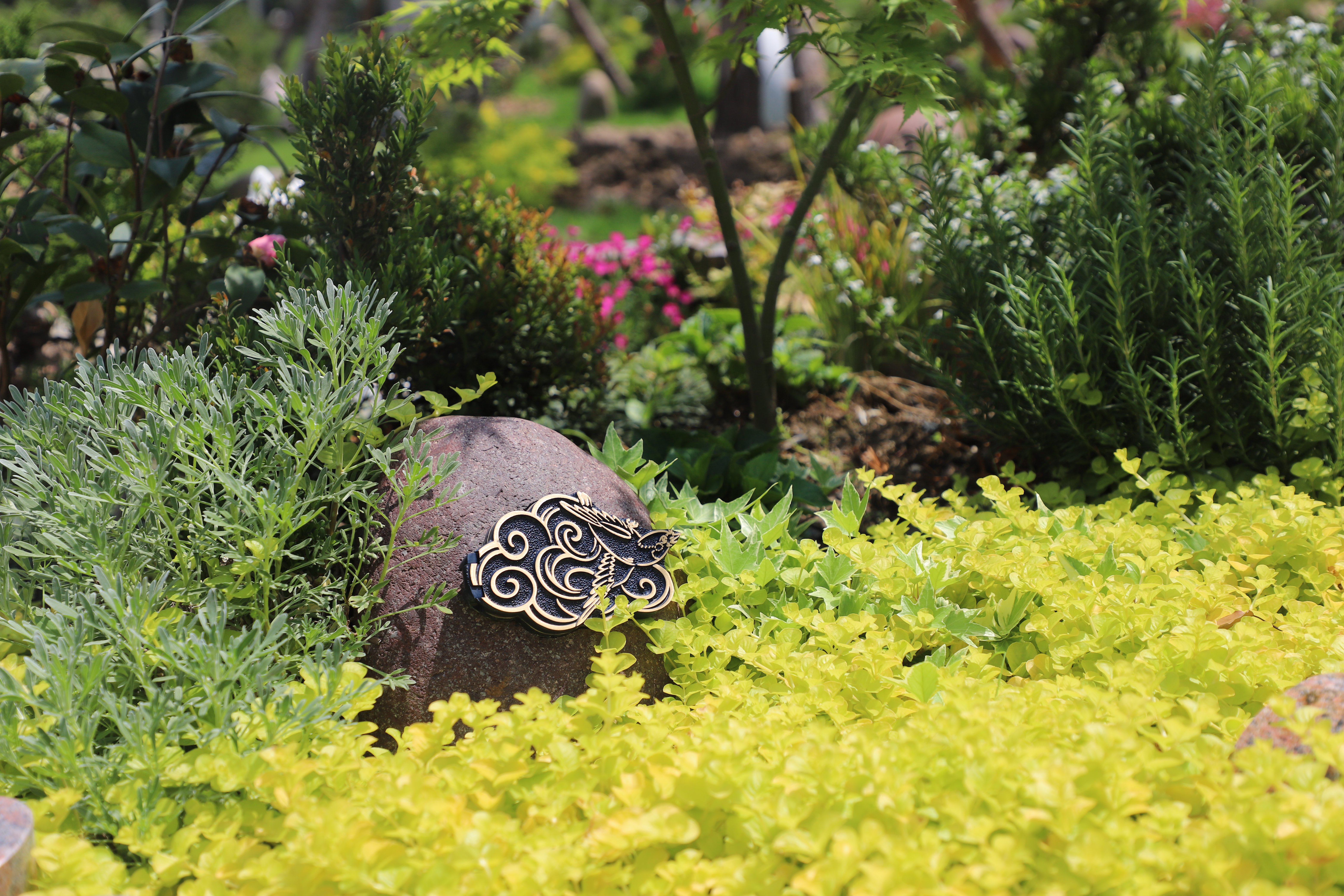 抖圈-为du而生官网入口