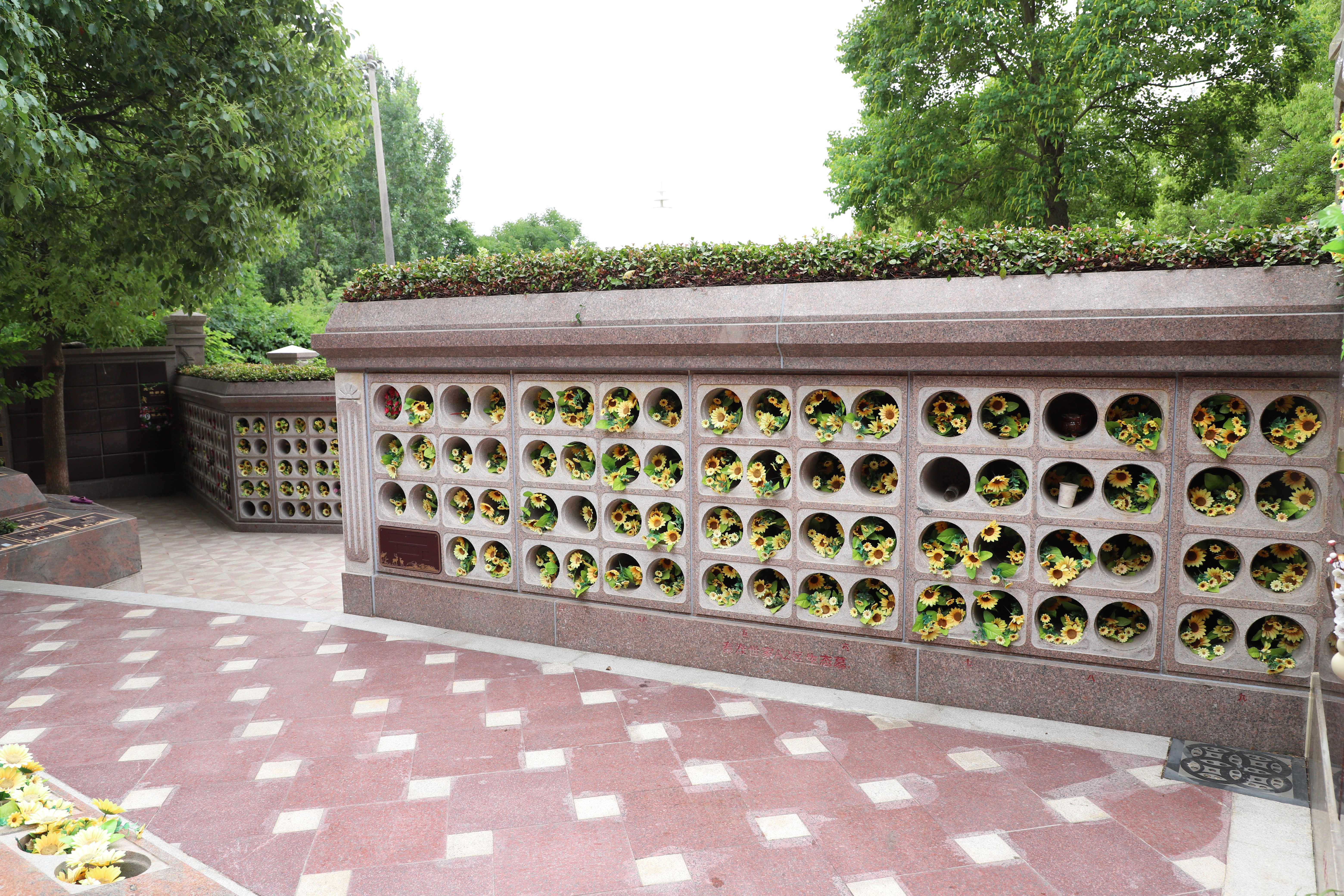 抖圈-为du而生官网入口