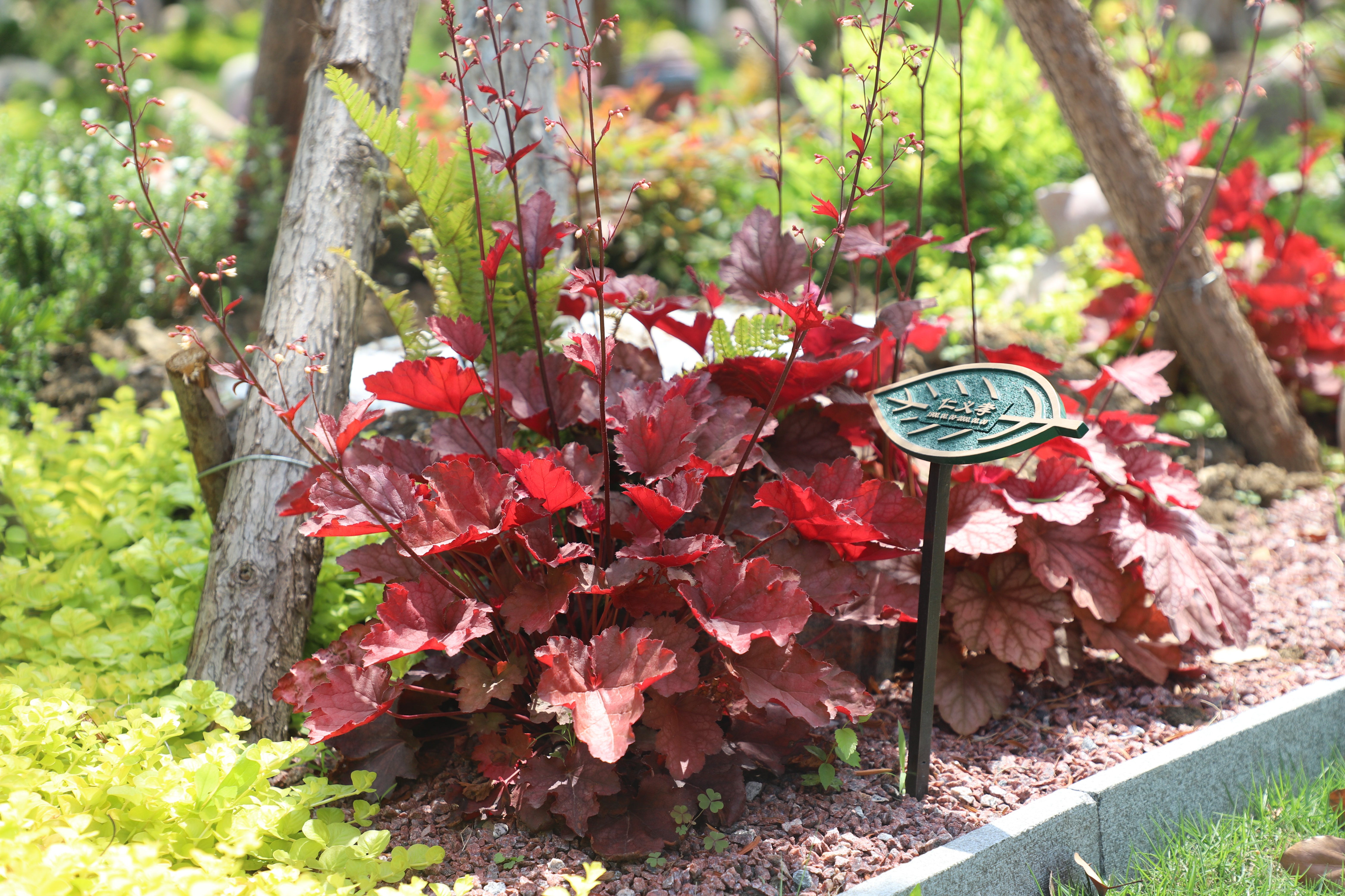 抖圈-为du而生官网入口