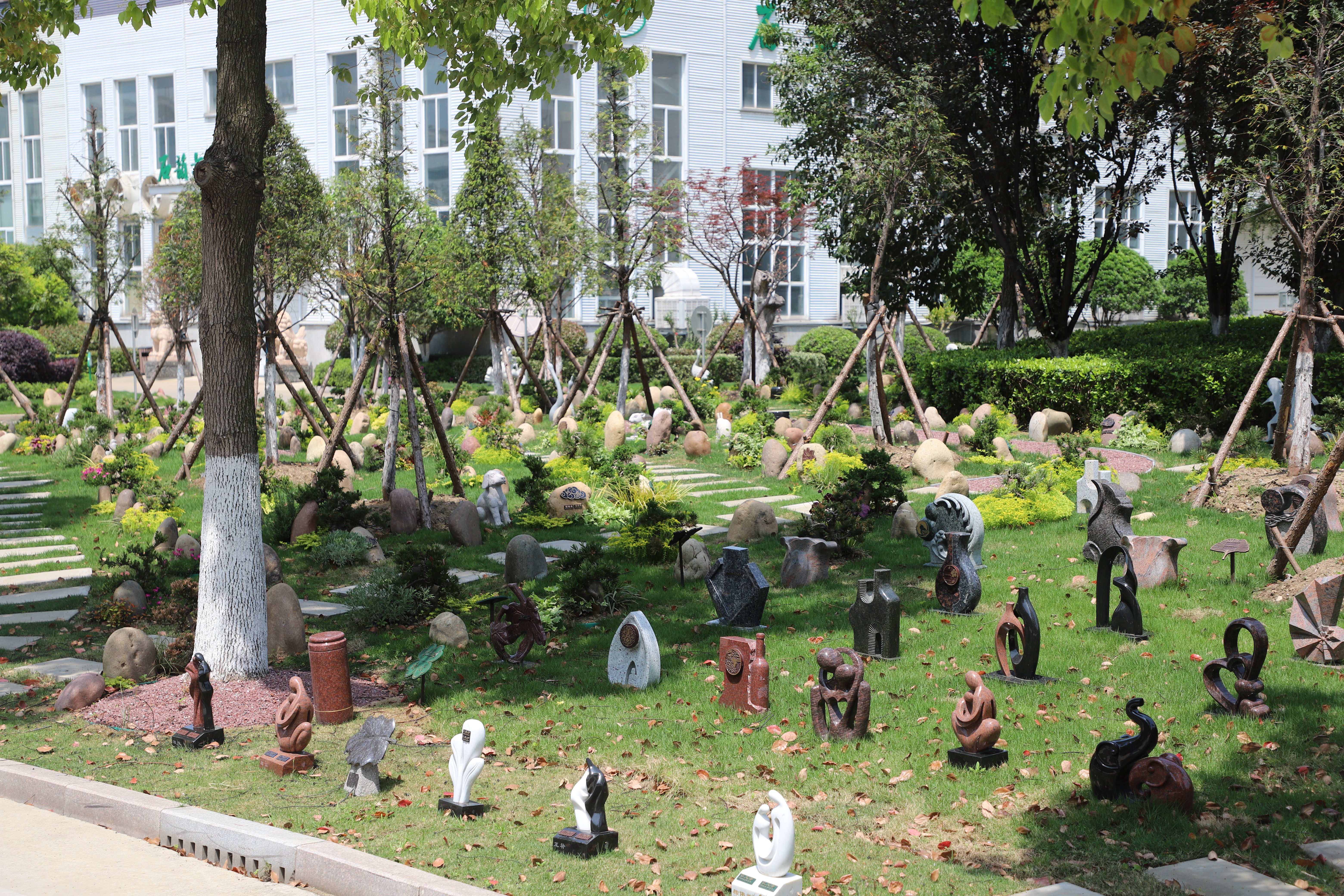 抖圈-为du而生官网入口