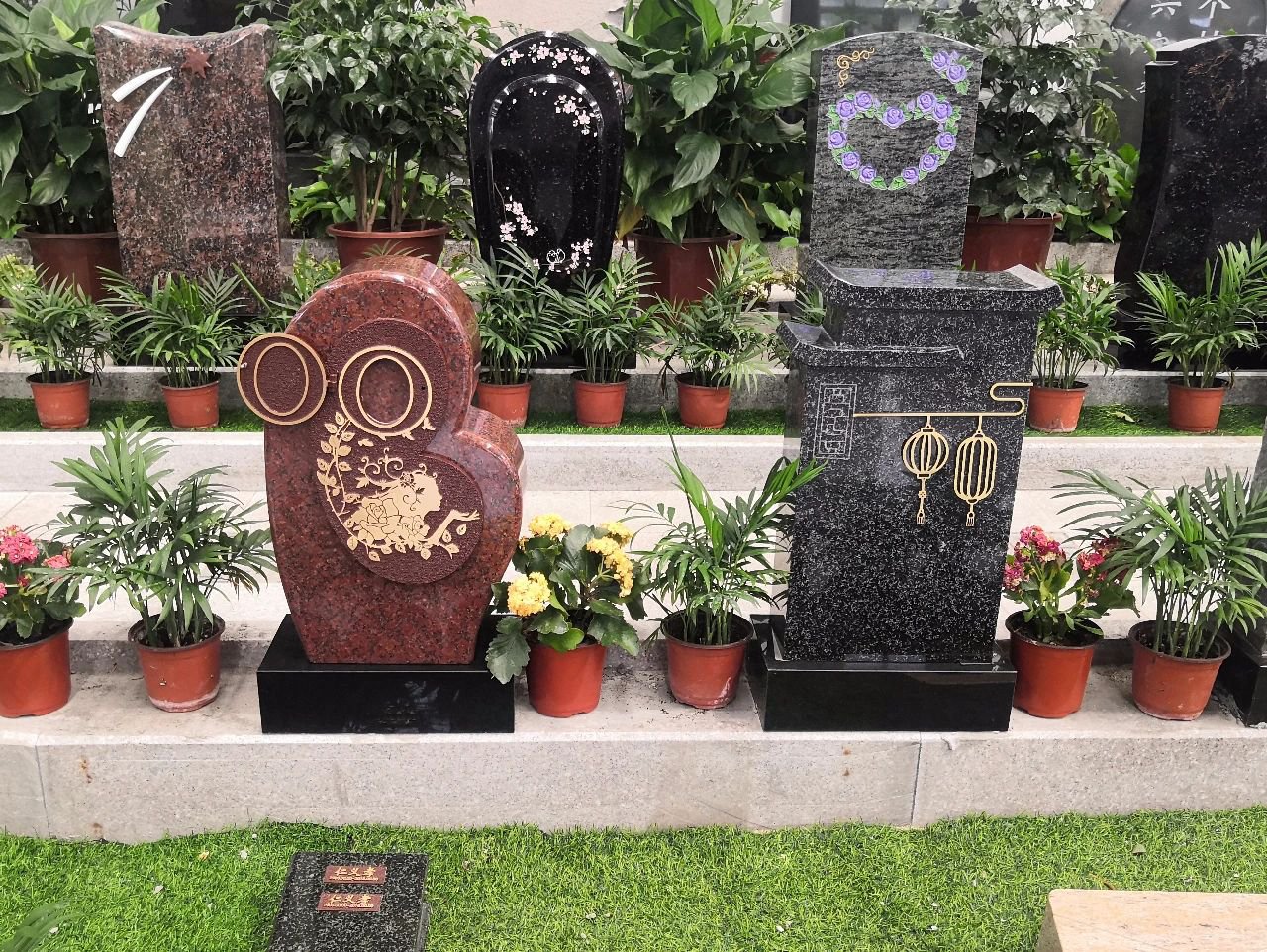 抖圈-为du而生官网入口