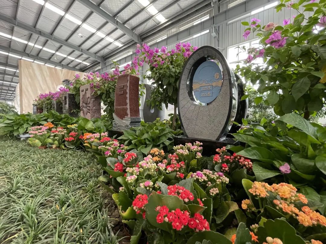 抖圈-为du而生官网入口