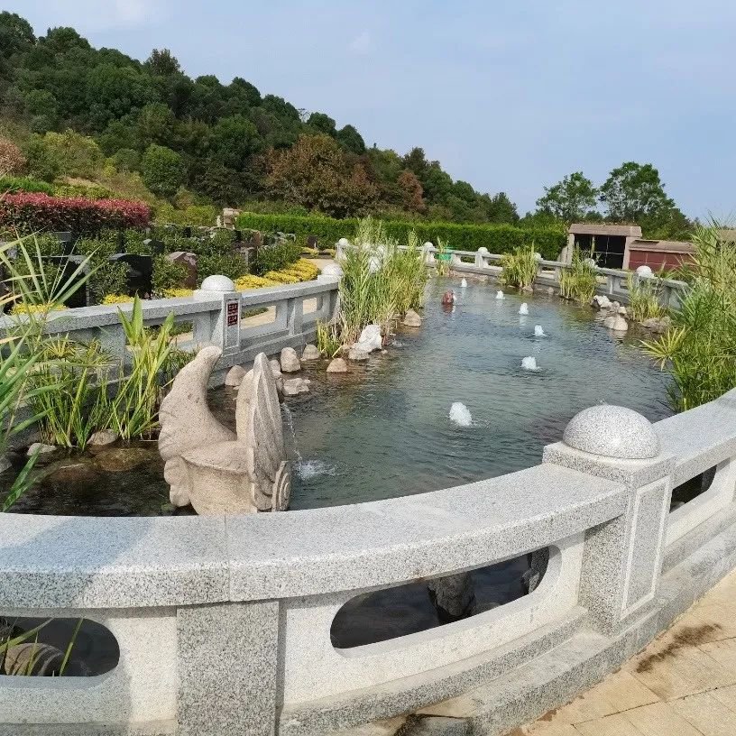 抖圈-为du而生官网入口