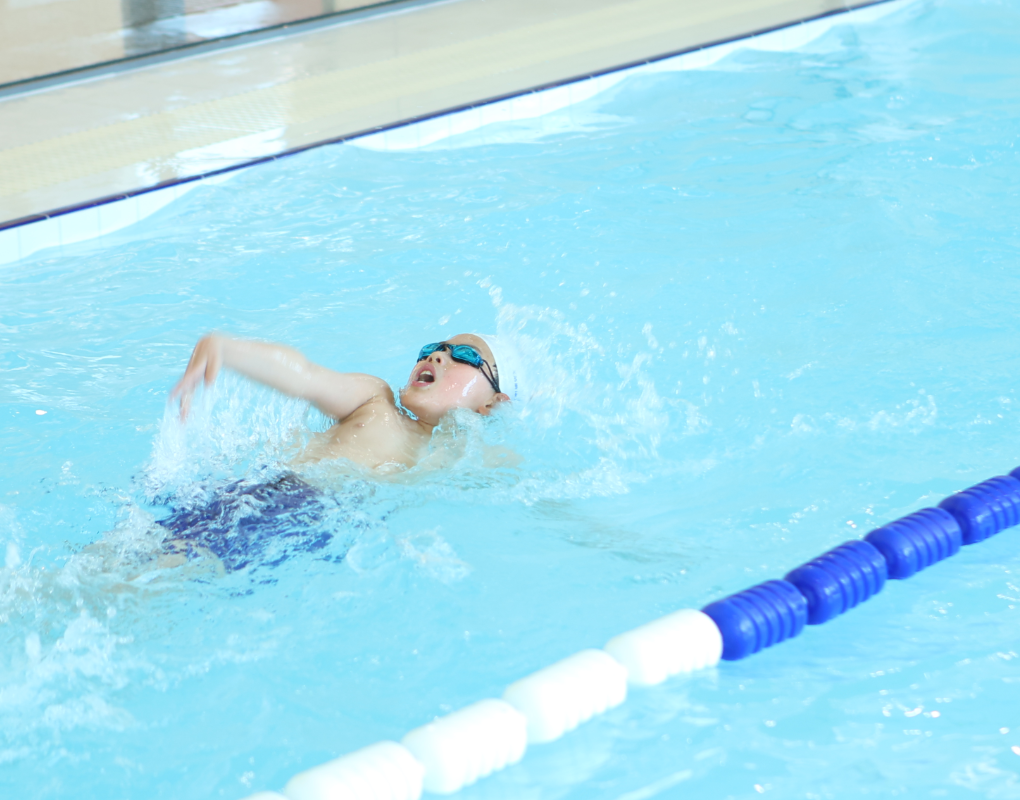 抖圈-为du而生官网入口