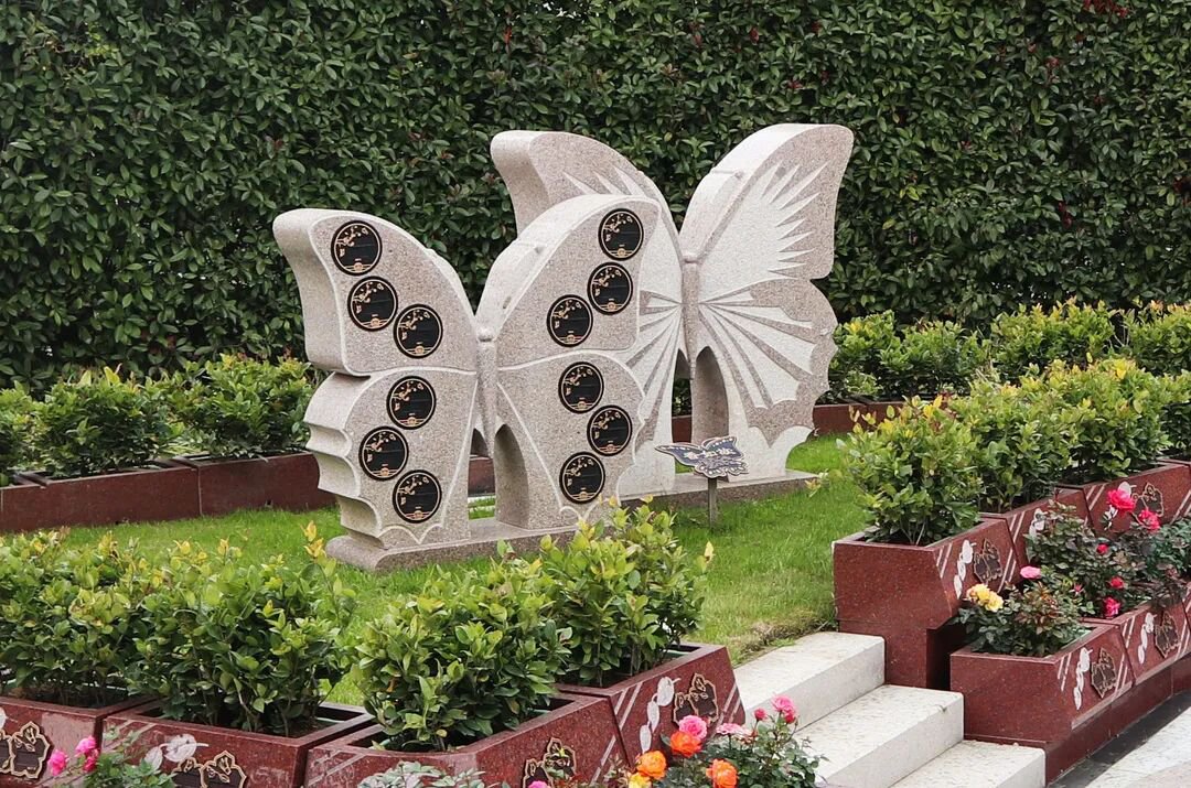 抖圈-为du而生官网入口