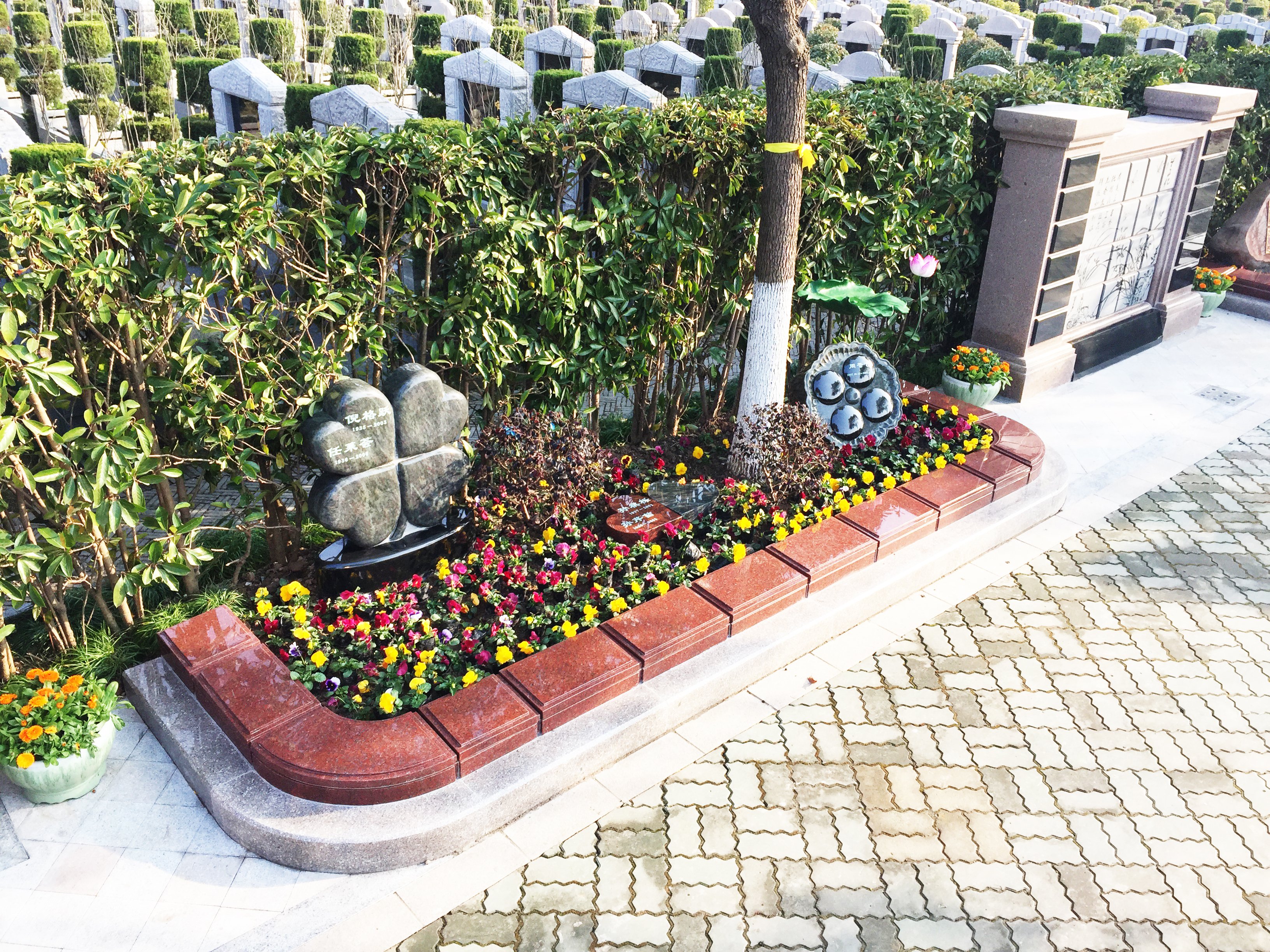 抖圈-为du而生官网入口