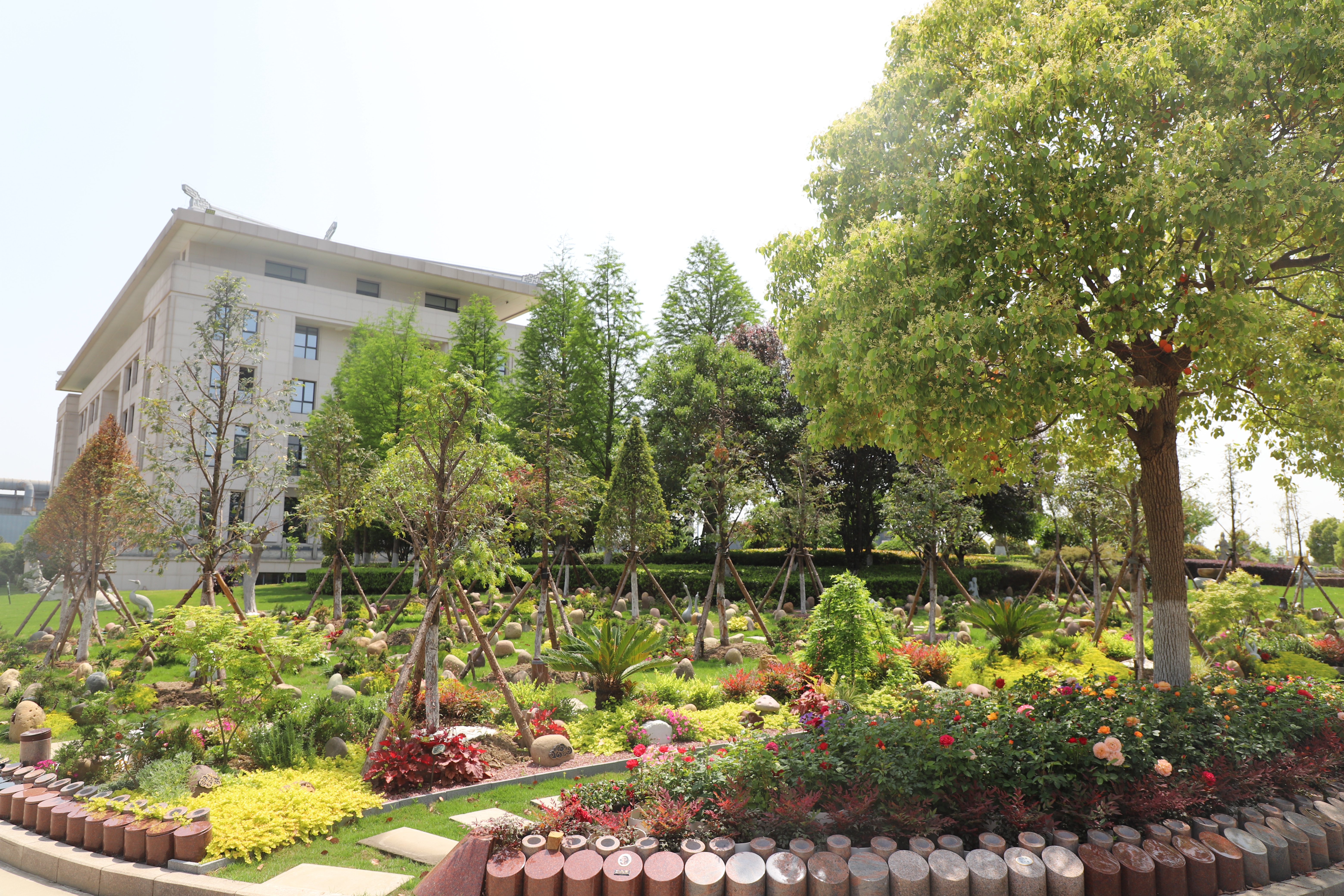 抖圈-为du而生官网入口