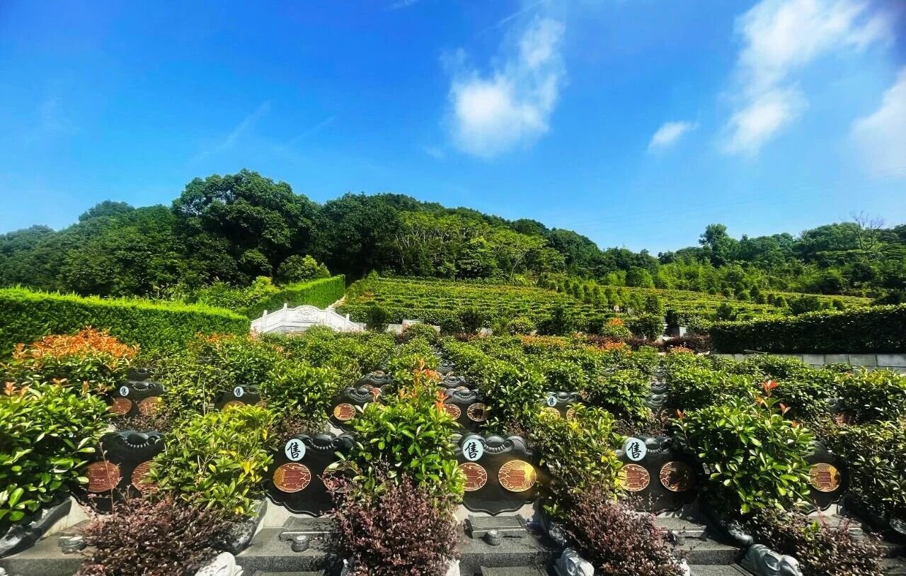 抖圈-为du而生官网入口