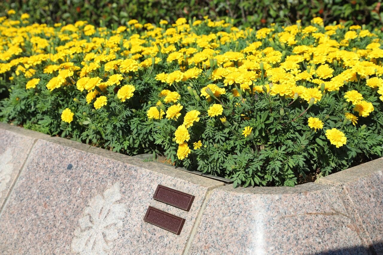 抖圈-为du而生官网入口