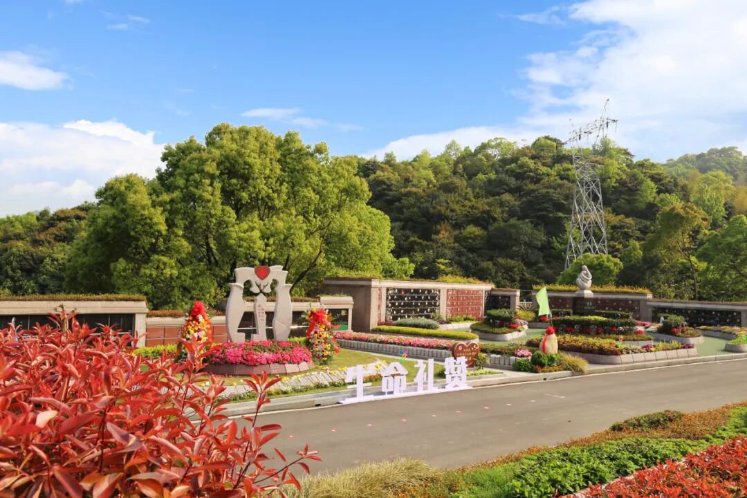 抖圈-为du而生官网入口