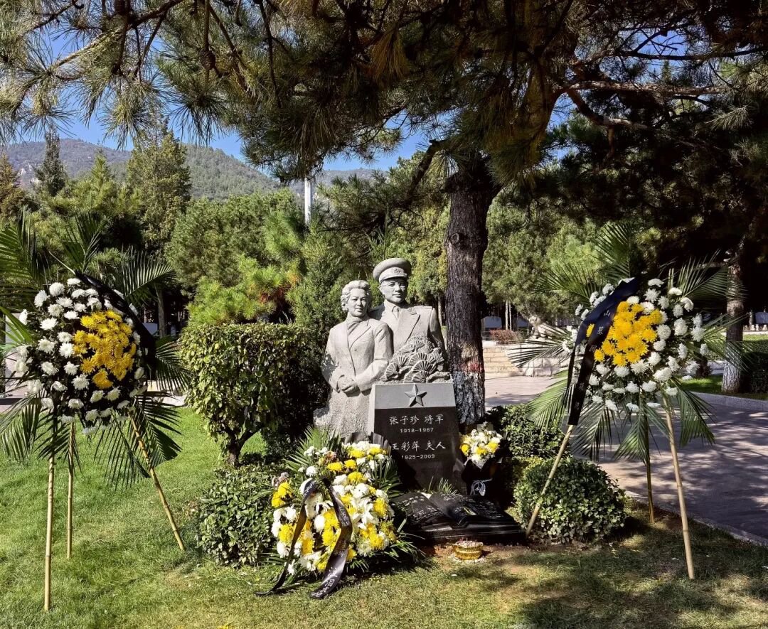 抖圈-为du而生官网入口