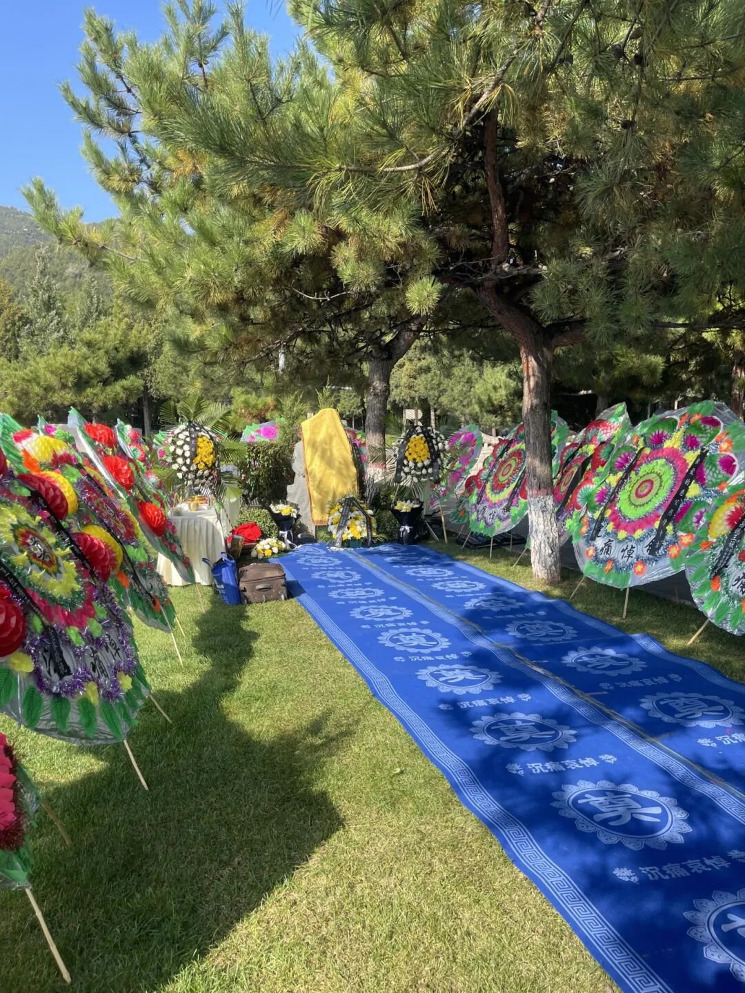 抖圈-为du而生官网入口