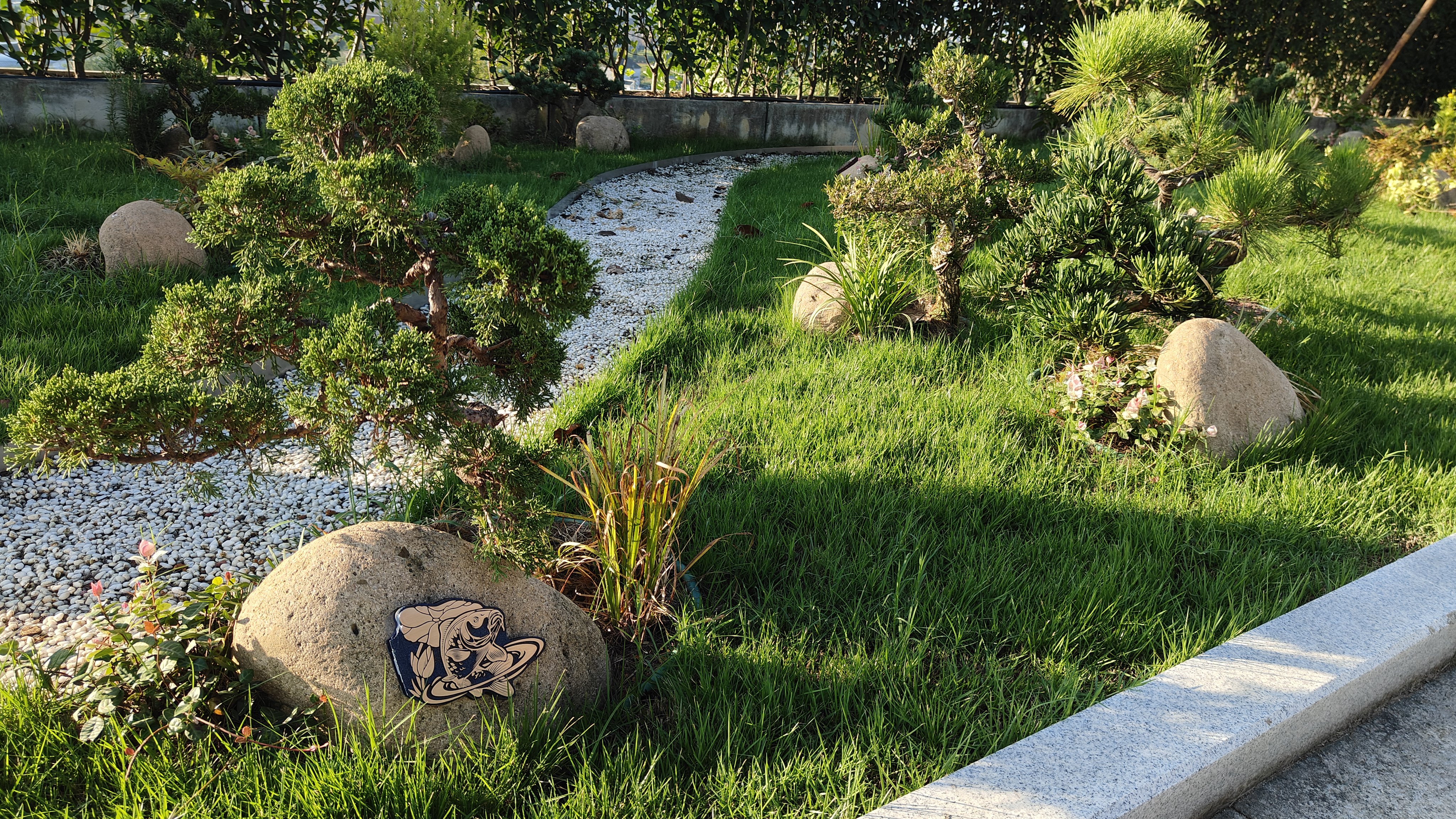 抖圈-为du而生官网入口