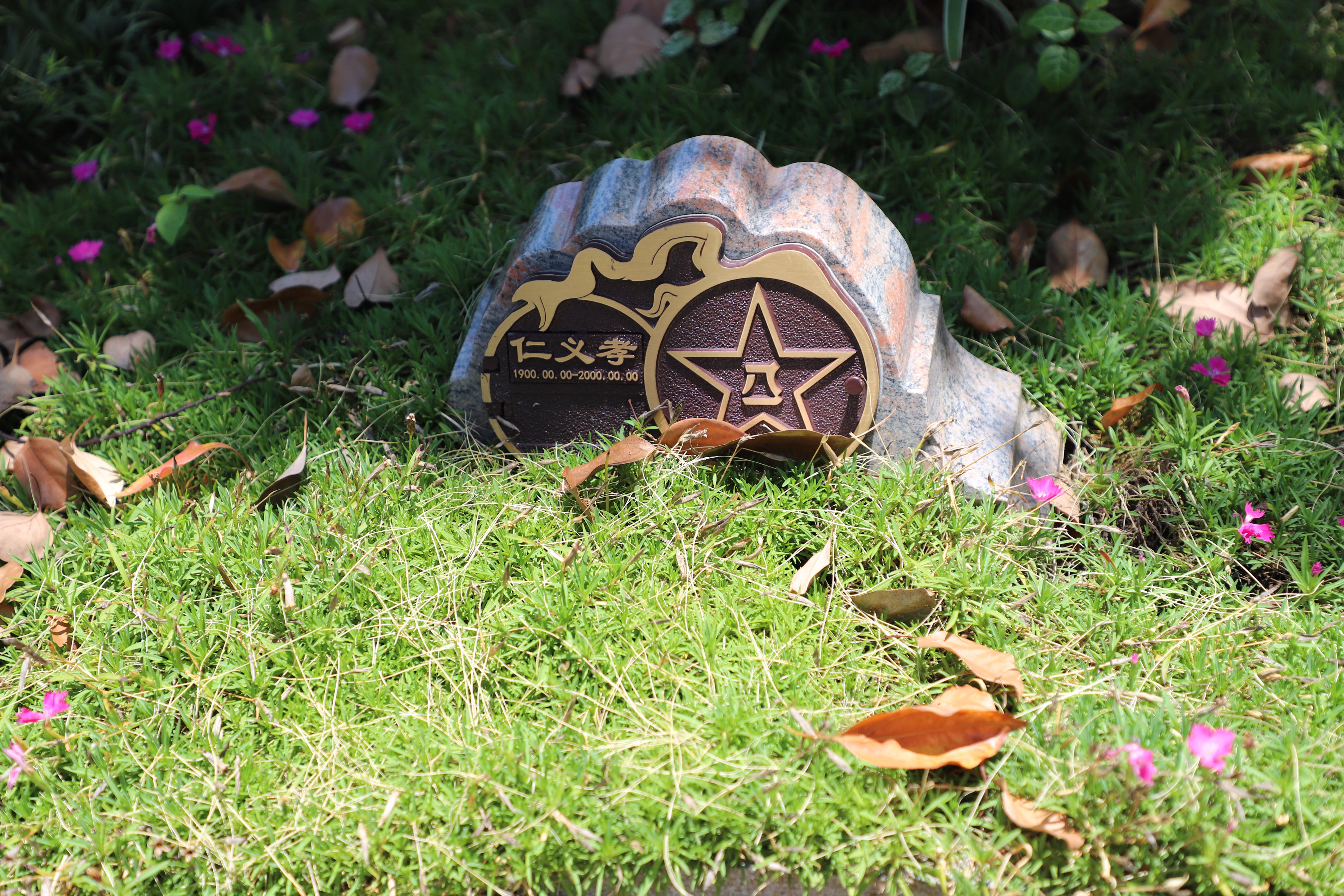 抖圈-为du而生官网入口