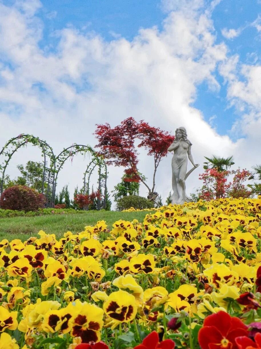 抖圈-为du而生官网入口