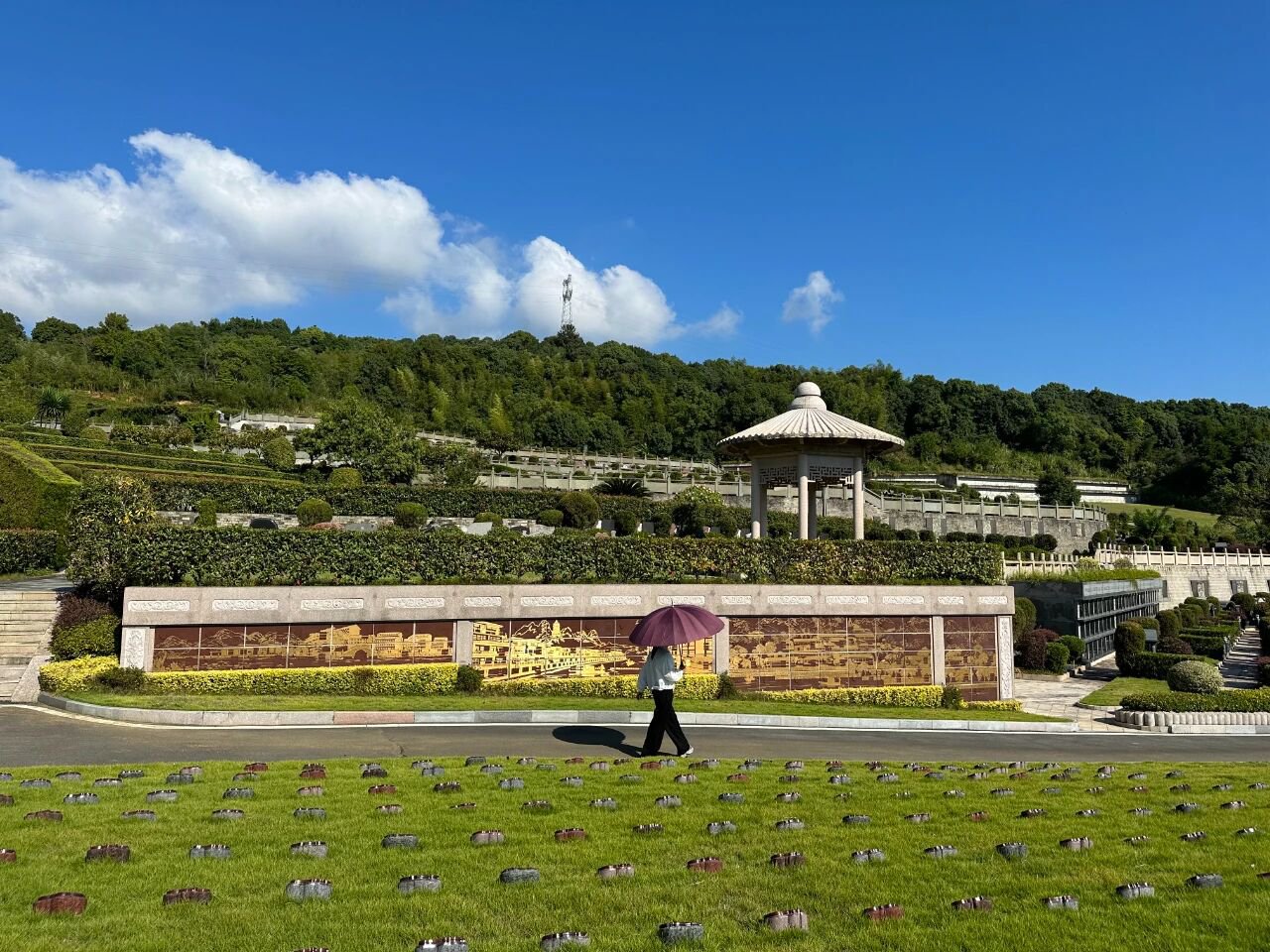 抖圈-为du而生官网入口